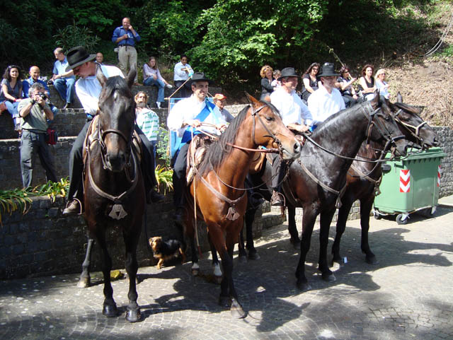 connotazione di festa