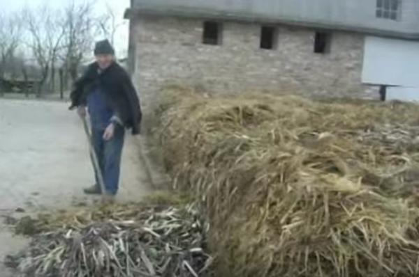 fase-di-lavorazione-di-una-concimaia
