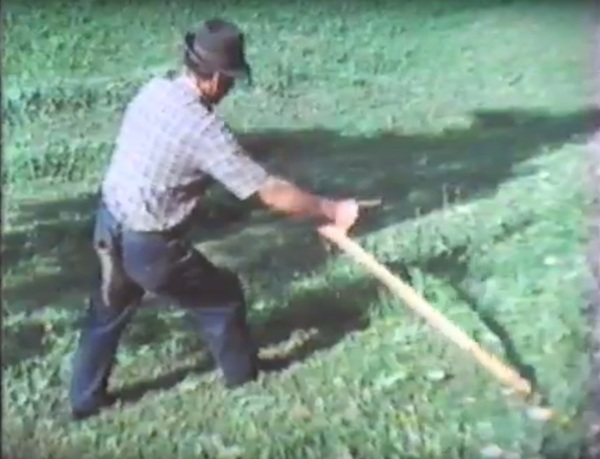 lavoro-nei-campi-in-montagna-fienagione-taglio