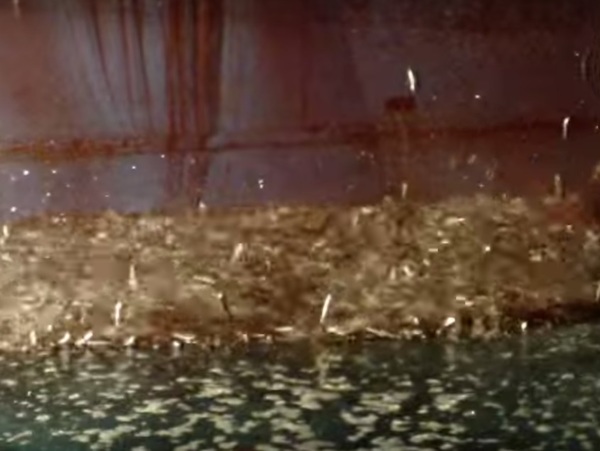 pesca-delle-acciughe