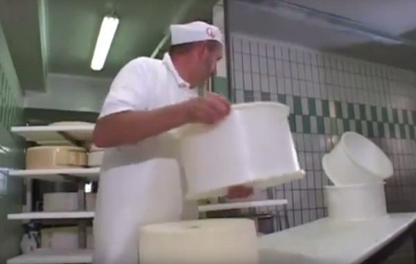 produzione-di-formaggio-asiago-dop-fresco