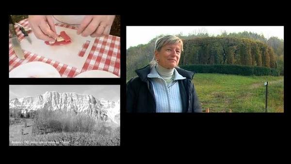 ucei-scjampats-uccelli-scappati