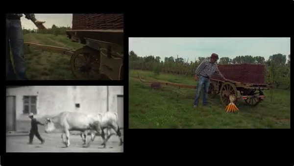 un-carro-agricolo-degli-anni-trenta-del-novecento